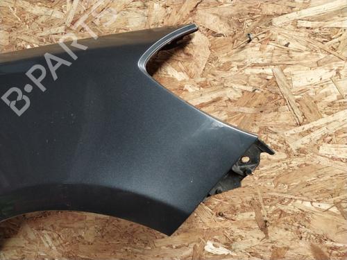 Right front fenders RENAULT CLIO III (BR0/1, CR0/1) 1.5 dCi (C/BR0G, C/BR1G) | BP20907663C42 