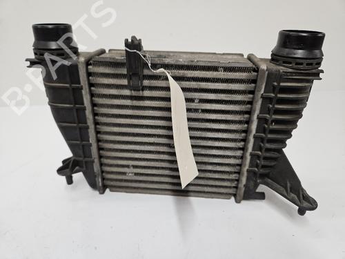 Used Intercooler Intercooler RENAULT CLIO III (BR0/1, CR0/1) 1.5 dCi (75 hp) 40520231 40520231
