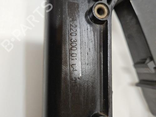 Pedal MERCEDES-BENZ S-CLASS (W221, V221) S 500 (221.071, 221.171) | BP27216226I4 