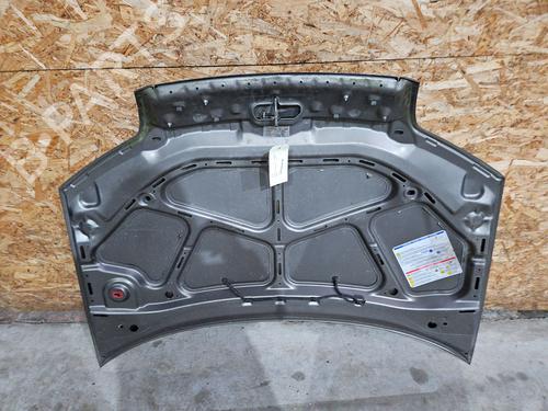 Hood FIAT PUNTO (188_) 1.2 60 (188.030, .050, .130, .150, .230, .250) | BP31265462C1 