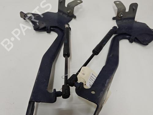 Hinge/Door check strap RENAULT SCÉNIC III (JZ0/1_) 1.5 dCi | BP29837670C146 