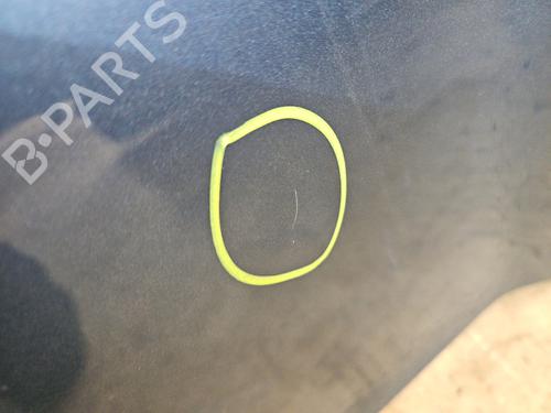 Used Hood Hood RENAULT KANGOO / GRAND KANGOO II (KW0/1_) 1.5 dCi 90 (KW05, KW08, KW0G, KW11) (90 hp) 32156980 32156980