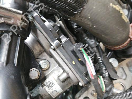 Engine DACIA LODGY (JS_) 1.2 TCe (JSAY, JSM0) | BP29212603M1 