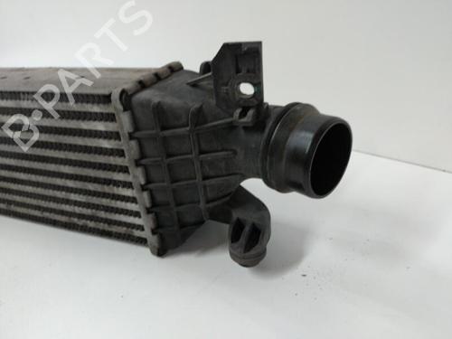 Intercooler CHEVROLET AVEO Hatchback (T300) 1.3 D | BP20894499M30