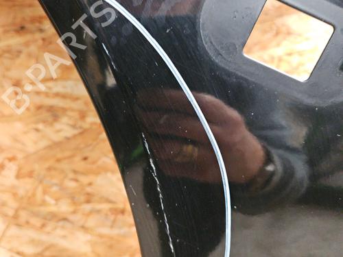 Błotnik przedni lewy RENAULT TWINGO I (C06_) 1.2 (C066, C068) | BP29895652C41