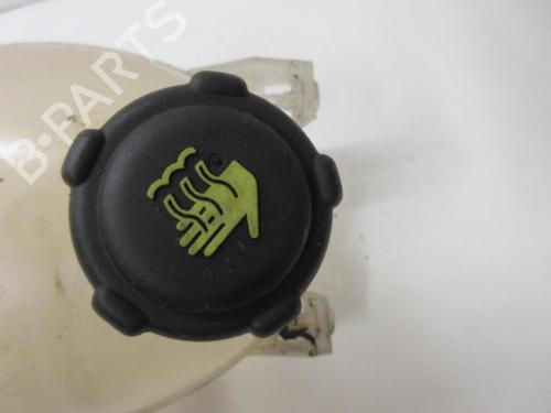 expansion-tank-dacia-duster-hs_-15-dci-4x4-217104354r-2010-2011-2012-2013-2014-2015-2016-2017-2018-20906852 main image