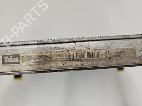 Water radiator PEUGEOT 206 Hatchback (2A/C) 1.9 D | BP29702975M31 