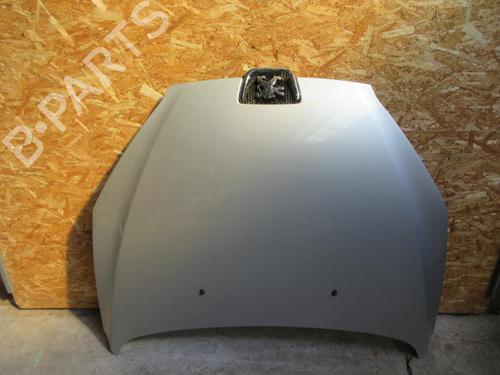 Hood PEUGEOT 407 Coupe (6C_) 2.7 HDi | BP23842975C1 