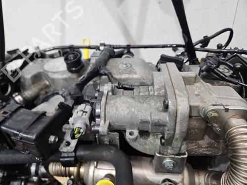 Engine FORD FOCUS C-MAX (DM2) 1.8 TDCi | BP31658071M1 