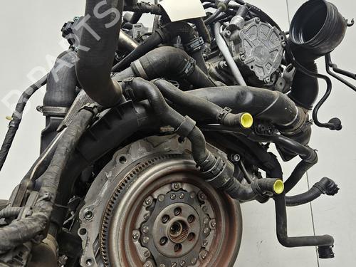 Engine VW BEETLE (5C1, 5C2)  | BP34557160M1  - Image 5
