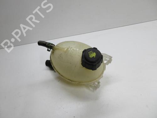 Expansion tank DACIA DOKKER MPV (KE_) 1.2 TCe (KEM0, KEAY) | BP20903028C120 