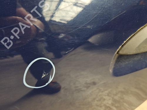 Left rear door DACIA SANDERO II 1.2 | BP27265925C4