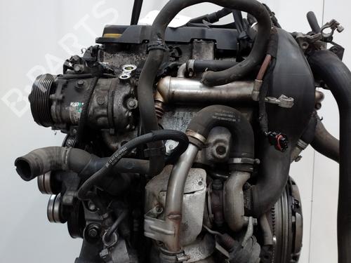 Engine OPEL MERIVA A MPV (X03) 1.7 CDTI (E75) | BP22109780M1 - Image 6