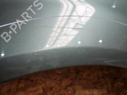 Left front fenders RENAULT SCÉNIC II (JM0/1_) 1.9 dCi (JM0G, JM12, JM1G, JM2C) | BP29578443C41 