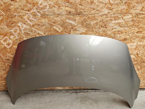 Used Hood RENAULT SCÉNIC III (JZ0/1_) 1.5 dCi (110 hp) 26545975