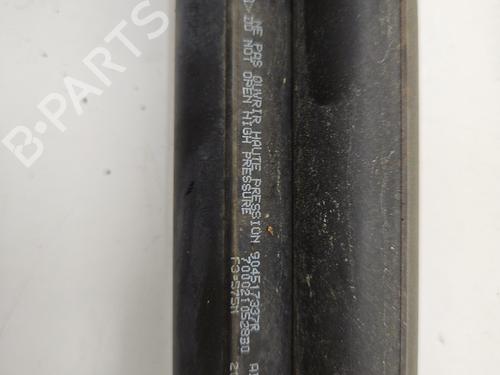 Tailgate lift support RENAULT GRAND SCÉNIC III (JZ0/1_) 1.5 dCi (JZ09, JZ0D, JZ10, JZ14, JZ1G, JZ29, JZ2C) | BP30865161C138