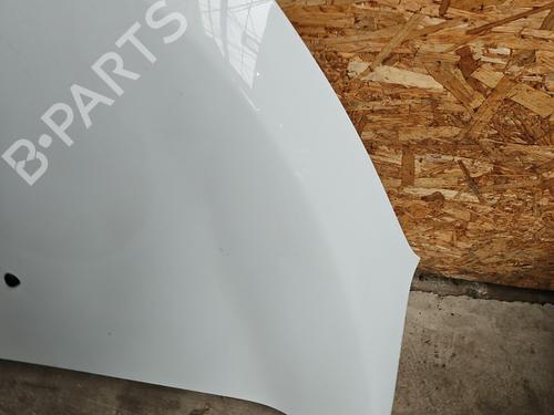 Hood DACIA LODGY (JS_) 1.2 TCe (JSAY, JSM0) | BP29196664C1 