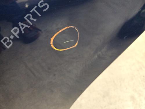Left rear door DACIA SANDERO 1.2 16V | BP28444893C4