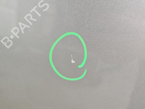 Hood RENAULT SCÉNIC III (JZ0/1_) 1.2 TCe | BP29895726C1 