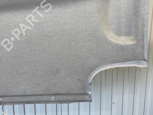Used Interior roof CITROËN NEMO Box Body/MPV (AA_) 1.3 HDi 75 (75 hp) 20911045