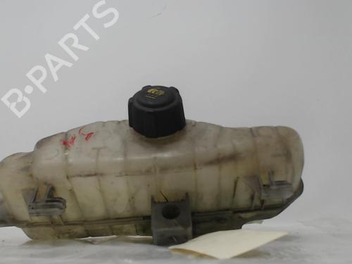 Used Expansion tank RENAULT CLIO III (BR0/1, CR0/1) 1.5 dCi (BR17, CR17) (86 hp) 22100130