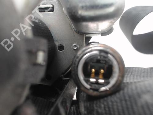 Front left belt tensioner RENAULT LAGUNA III (BT0/1) 2.0 dCi (BT07, BT0J, BT14, BT1A, BT1S) | BP20912962C87 