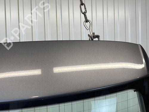 Tailgate VW POLO V (6R1, 6C1) 1.2 TDI | BP23904761C6 