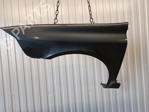 Left front fenders RENAULT LAGUNA II (BG0/1_) 1.9 dCi (BG08, BG0G) | BP22100784C41 