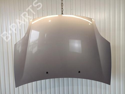 Used Hood FIAT BRAVO II (198_) 1.6 D Multijet (198AXH1B) (105 hp) 20912708
