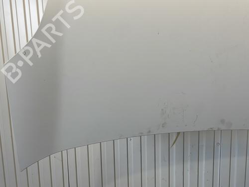 Hood OPEL COMBO Box Body/MPV (X12) 1.3 CDTI (B05) | BP27384609C1 
