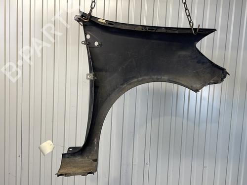Left front fenders RENAULT CLIO III (BR0/1, CR0/1) 1.5 dCi (BR17, CR17) | BP28325802C41