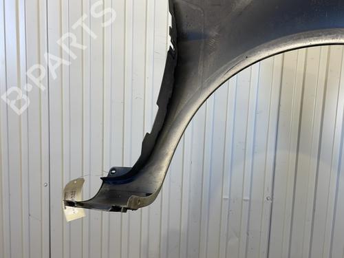 Left front fenders RENAULT CLIO III (BR0/1, CR0/1) 1.5 dCi (BR17, CR17) | BP31836953C41