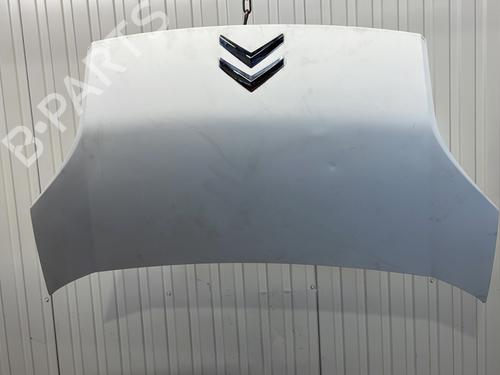 Capot CITROËN NEMO MPV 1.4 HDi (68 hp) 29599891