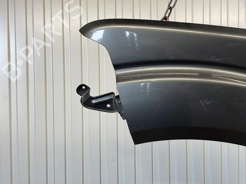 Left front fenders NISSAN PATHFINDER III (R51) 2.5 dCi 4WD | BP26237015C41