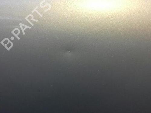 Left front door VOLVO V70 II (285) D5 AWD | BP20915337C2 