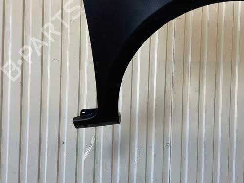 Right front fenders RENAULT CLIO III (BR0/1, CR0/1) 1.4 16V | BP27376196C42 