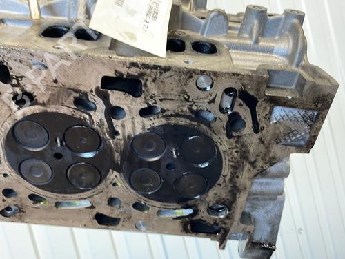 Cylinder head NISSAN X-TRAIL II (T31) 2.0 dCi 4x4 | BP25275415M5 