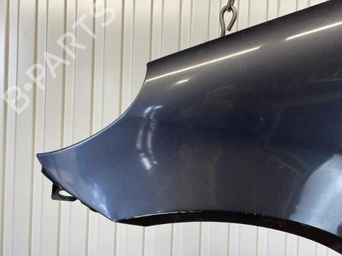 Left front fenders MERCEDES-BENZ A-CLASS (W168) A 170 CDI (168.008) | BP20910616C41 