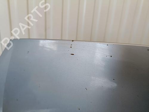 Hood FORD S-MAX (WA6) 2.0 TDCi | BP22100505C1