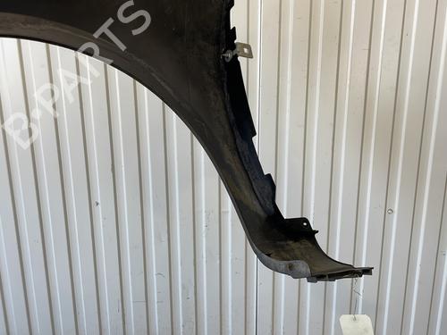 Right front fenders RENAULT CLIO III (BR0/1, CR0/1) 1.4 16V | BP27376196C42 