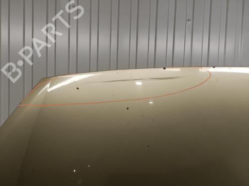 Motorhjelm FORD GALAXY II (WA6) 2.0 TDCi (140 hp) 22100841
