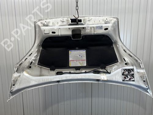 BP29599891C1 main image