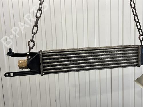 Used Intercooler Intercooler FIAT PUNTO EVO (199_) 1.3 D Multijet (199AXC1A, 199BXC1A, 199AXT1A, 199BXT1A) (75 hp) 22808187 22808187