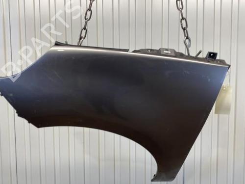 Left front fenders RENAULT SCÉNIC III (JZ0/1_) 1.9 dCi (JZ0J, JZ1J, JZ1K, JZ1S) | BP20912550C41 