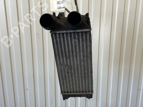 Used Intercooler Intercooler PEUGEOT 3008 I MPV (0U_) 1.6 HDi (112 hp) 24056792 24056792