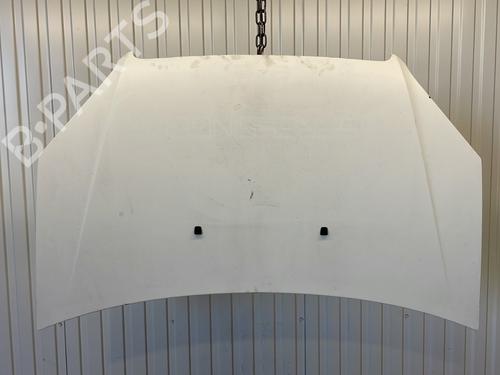 Used Hood FIAT DOBLO MPV (119_, 223_) 1.9 D Multijet (120 hp) 26618855