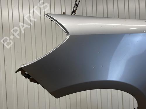 left-front-fenders-renault-clio-iii-br01-cr01-2005-2006-2007-2008-2009-2010-2011-2012-2013-2014-33610864 main image