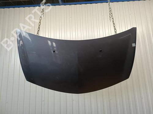 Used Hood RENAULT CLIO III (BR0/1, CR0/1) 1.5 dCi (C/BR0G, C/BR1G) (68 hp) 20915038