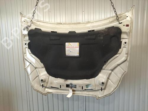 Capot Capot LANCIA DELTA III (844_) 1.6 D Multijet (844.AXC11, 844.AXC1A) (120 hp) 39395211 39395211