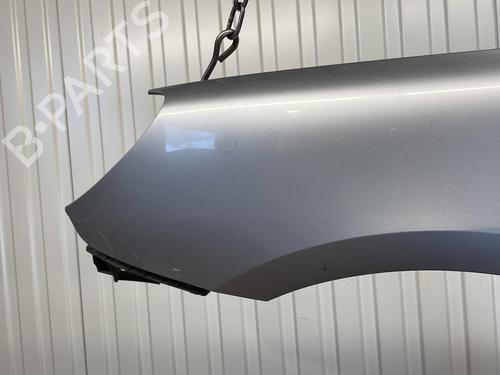 Left front fenders PEUGEOT 307 CC (3B) 2.0 16V | BP22342758C41 